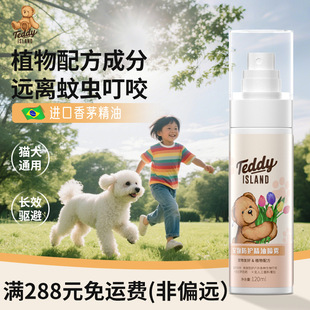 TEDDY ISLAND������x���F������������o����؈�����������ʭ