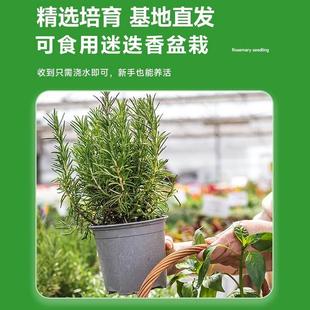 �Ե��������҃����ֲ����ݱ������ţ�ź決�b�ʳ�û��ܾGֲ