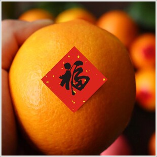 ��������С�����N�����겻���z��ˮ���N���P���c�辰�b��NE