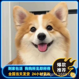 Ȯ�����ۿ»�Ȯ��Ȯ���wС���ȹ�ĸ���ﹷ��Ȯ��N�»�Ȯ���lС��