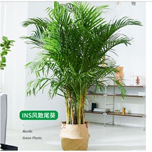 ���FҬ��ɢβ���Pβ�������҃ȿ͏d����ȩֲ���ļ����;Gֲ����