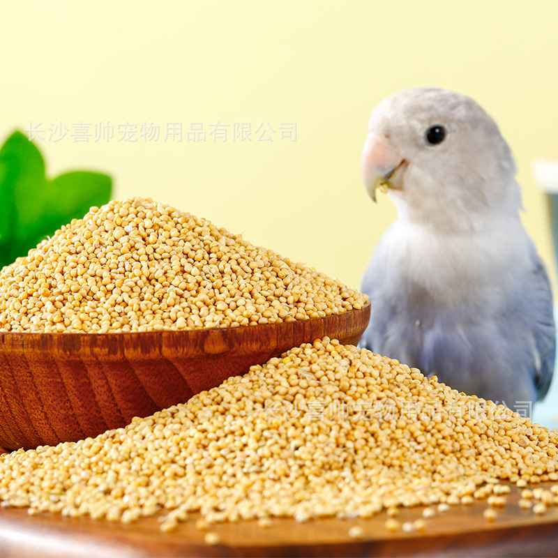鹦鹉鸟食鹦鹉粮鸽粮虎皮鸟粮玄风牡丹黍子带壳谷子鸟饲料1公斤-阿里巴巴