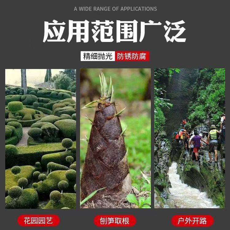 微信图片_20260120134444_21_83.jpg