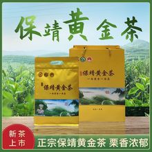 2022正宗湖南湘西保靖黄金茶原生态高级春季雨前绿茶茶叶250克