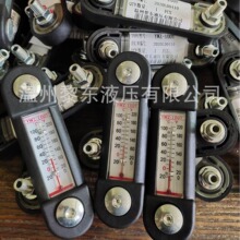 ԭ�bú�V����ҺλӋ�F��ϵ��YWZ-100T 125 254 381Һ��ҺλӋ�ʹ�