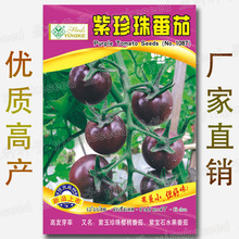 紫珍珠番茄種子 黑珍珠番茄種子 紫珍球番茄種子 黑美人番茄種子