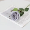 Bar Rose silk cloth gray