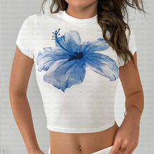 Y2K�ļ��¿��ͼ������Բ������t���ձ�ԭ����������¶������