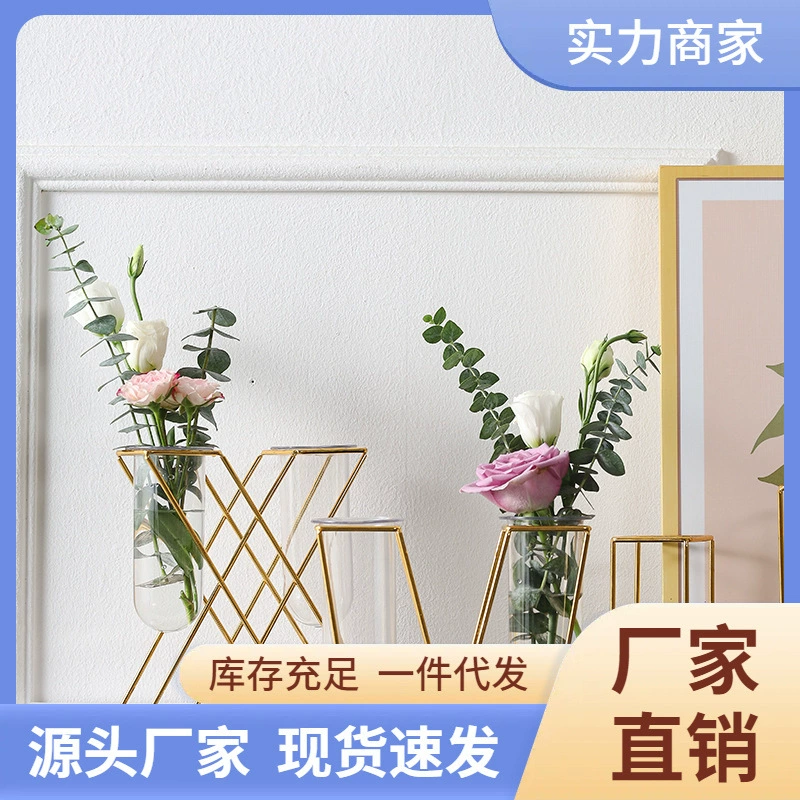 Скандинавская ваза из железа и стекла для цветов, гальванизированная, для гидропоники, пластиковая, для дома, обеденного стола, рабочего стола, гостиной, декоративные украшения