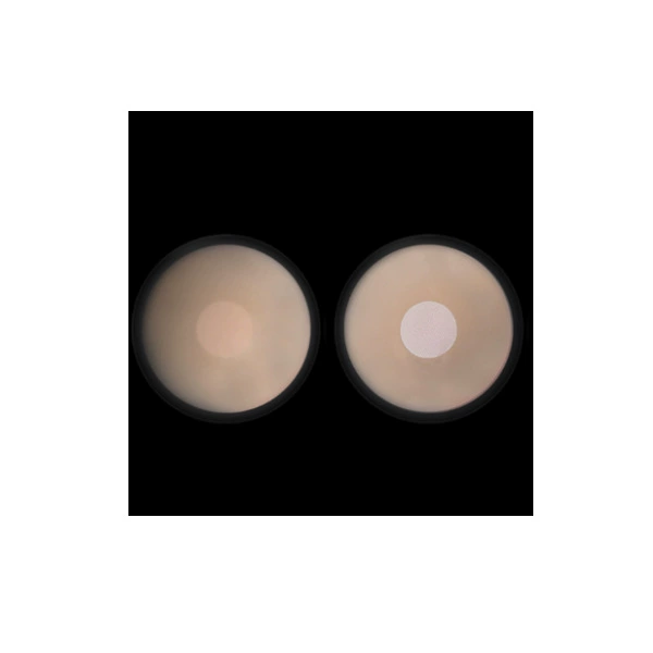 Silicone Nipple Covers — Thin Invisible Adhesive Pads, Reusable Waterproof, Multiple Sizes