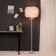 創意歐式羽毛客廳落地燈卧室溫馨北歐台燈裝飾床頭結婚慶時尚燈具