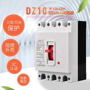 Shanghai People's Dz10 Molded Case Circuit Breaker Air Switch Main Switch 100A 250A 400A 630A