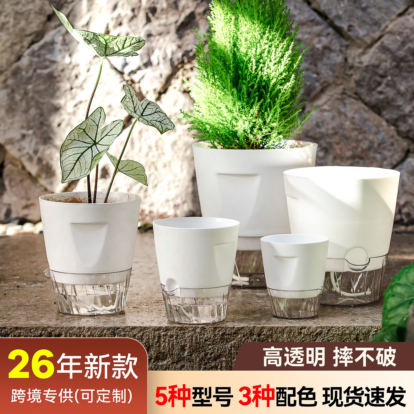 奶油风懒人自动吸水花盆塑料树脂蝴蝶兰热植多肉专用室内水培花盆