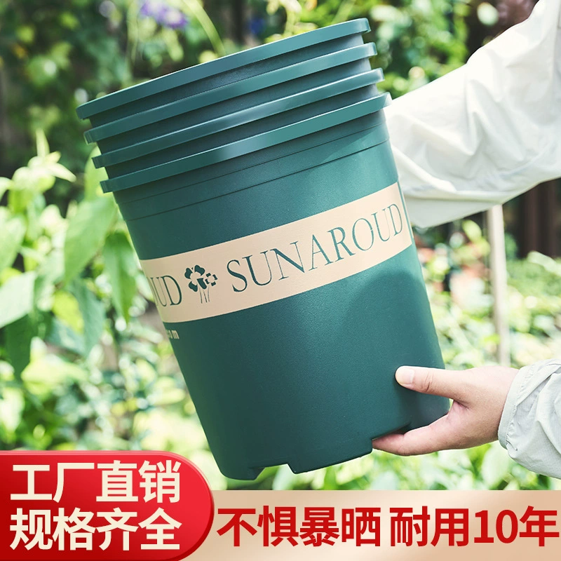 Чаншэн завод прямой пластиковый цветочный горшок балкон гостиная зеленая Роза в горшках Клубничная Роза очень большая толстая галлонная раковина