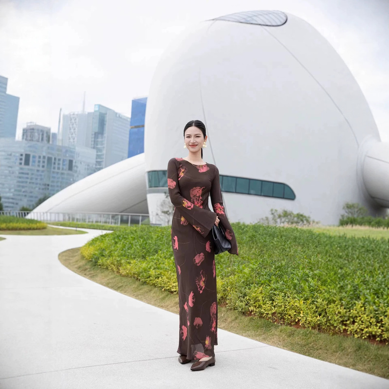 French-Style Light Luxury Silk Printed Dress for Women, Long-Sleeved, Long-Length, Waist-Cinching, Elegant Resort-Style High-End Long Dress for Summer