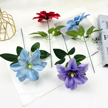 ����С��֦�F�zɏ�ٻ� ��Y�û����b廨�ҾӔzӰ��ˇ�[������