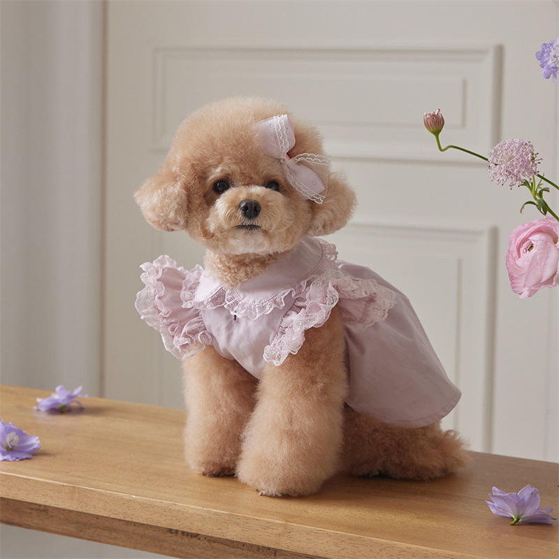 Pet Clothes for Dogs and Cats, Autumn and Winter Lace Flying Sleeves, Lady Dress Manufacturer, Small Teddy Bears