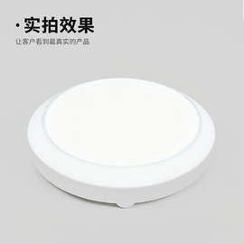 LED支架灯;吸顶灯;室外壁灯