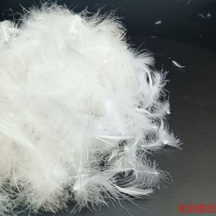 ���w�S��ֱ�N�����Z�q ��ë��q���˚W������ˮϴ�����Ƀ���