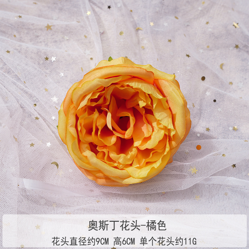 TY-오스틴 꽃 머리-오렌지