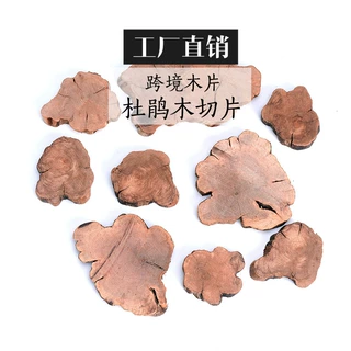 复古原木茶杯垫百年杜鹃木切片不规则木块茶具拍照道具木片