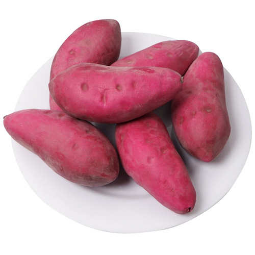 High imitation fake vegetable model window photography decoration early education props simulation purple potato foam fake sweet potato sweet potato