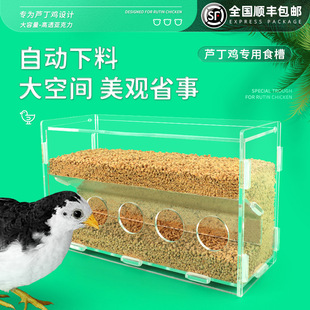 Quail Feeder Automatic Feeding Trough for Parrots and Birds, Black Phoenix Feeding Box, Feeding Basin, Feed Landscaping Supplies