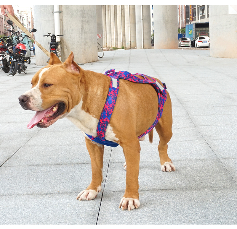 雪橇犬胸背带_09