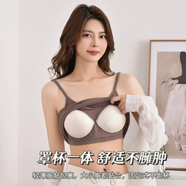 女士背心;裹胸、抹胸;女士三角裤