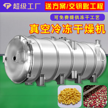 果蔬香蕉真空冻干机 宠物零食真空冷冻干燥机 玫瑰花低温干燥设备