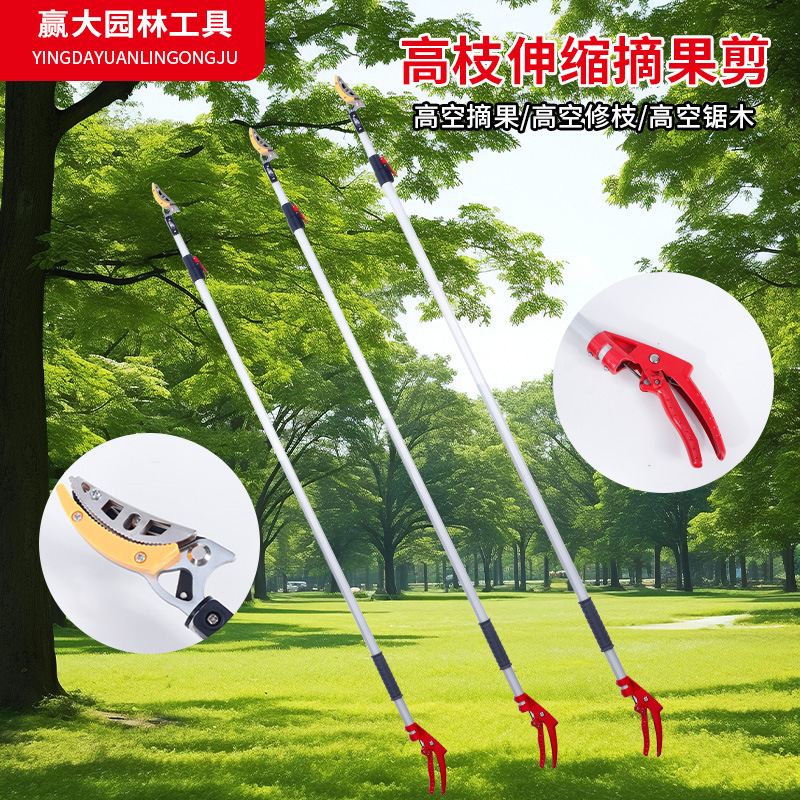 Ganar grandes tijeras de recolección de frutas telescópicas de ramas altas tijeras de ramas altas tijeras de aleación de aluminio para recoger frutas, lichis y herramientas de jardín de nísperos