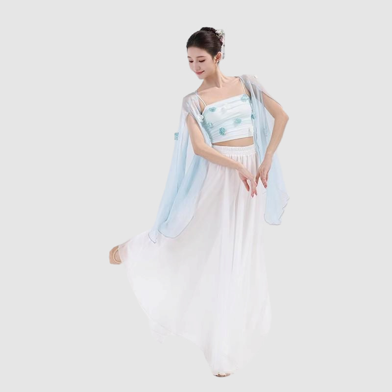 Classical Dance Costumes for Women, New Style Clothing, Elegant and Versatile, Slimming Skirt Pants, Practice Clothes, Chinese Style Performance Costumes