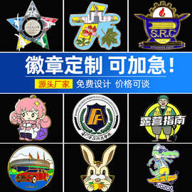 金属可爱徽章定制仿珐琅司校徽纪念勋章胸章卡通圣诞徽章胸针定制