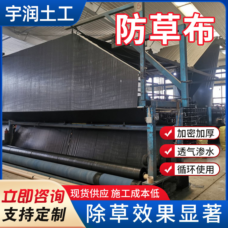 耐用pp园艺地布园林果园大棚用透气透水地膜黑色pe抗老化防草布