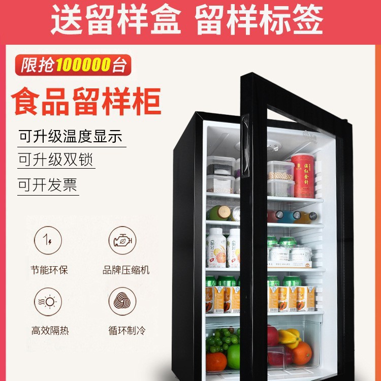 Kindergarten Food Sample Cabinet Beverage Freezer Small Refrigerator Small Household Commercial Refrigerated Fresh-Keeping Display Cabinet with Lock
