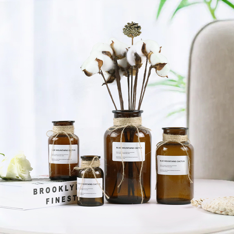 Nordic Small Brown Bottle ins Style Transparent Brown Living Room Decorative Flower Ornaments Jewelry Hydroponic Glass Reagent Vase