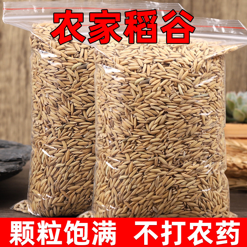 2024年稻谷带壳喂鸡鸭鸽粮饲料批发谷子优质香糯粗粮生态优质粗粮