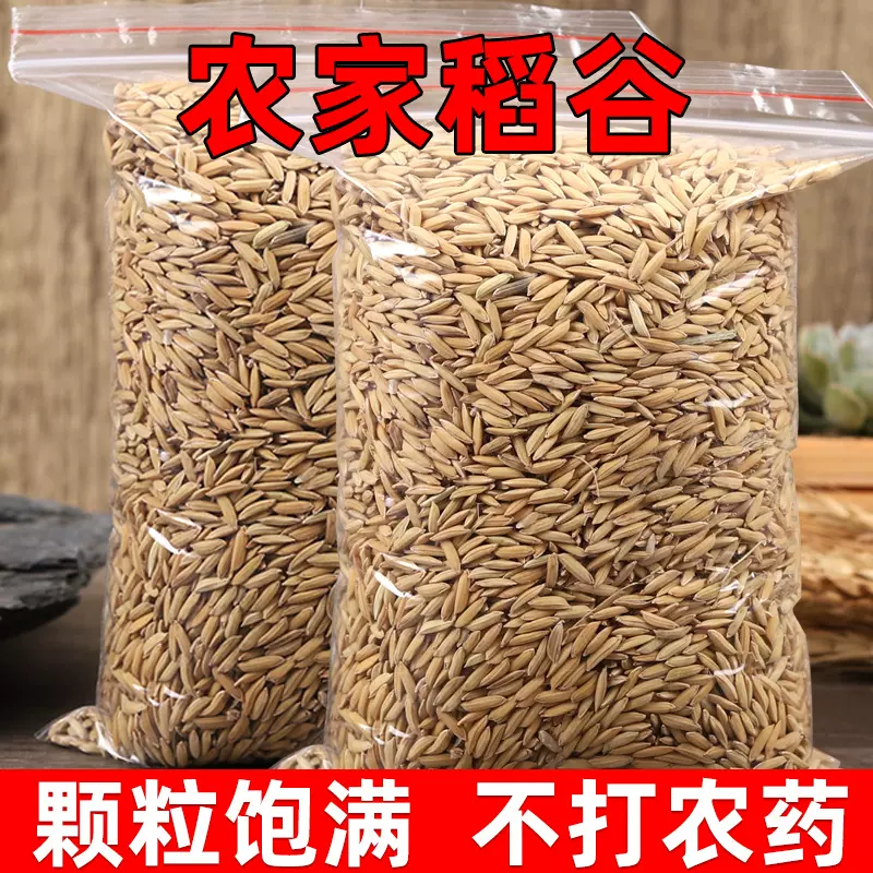 2024年稻谷带壳喂鸡鸭鸽粮饲料批发谷子优质香糯粗粮生态优质粗粮