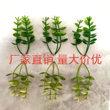 �����ȼ��� ���滨ˮ�� ����ֲ������ٻ����ϻ���ݸ��ˮ�����