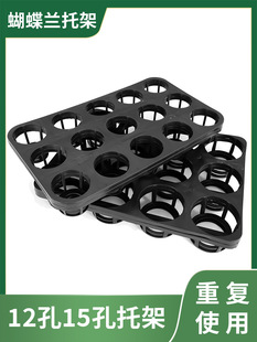 ���N����Ѩ�P �����m�бP 12��15��Ѩ�P �����������м����ϻ���