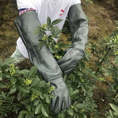 牛革防刺手袋専門庭園園芸剪定は栗サンショウの月季サボテンを剥ぎ取って刺し防止します。