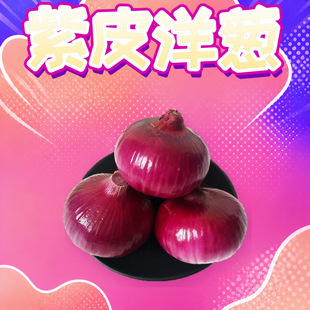 �����Ƥ���[ ���l���l3/5/9�������A�[�tƤ�[�^��ˬʳ�����r�߲�