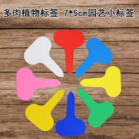 其他园林资材;木质工艺品;其它水族用品