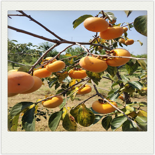 �޽��������N�ۅ^ 2���������� �����E�@ˇ��