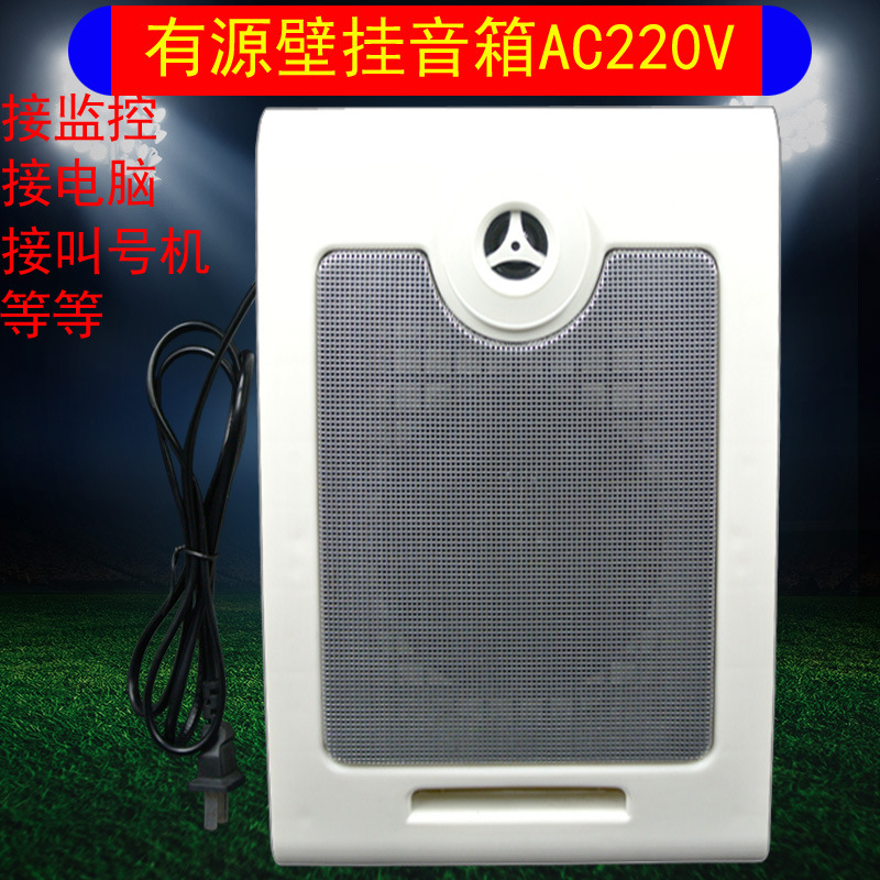 Active wall-mounted speaker built-in power amplifier 12W multimedia classroom monitoring intercom monitor with power amplifier speaker