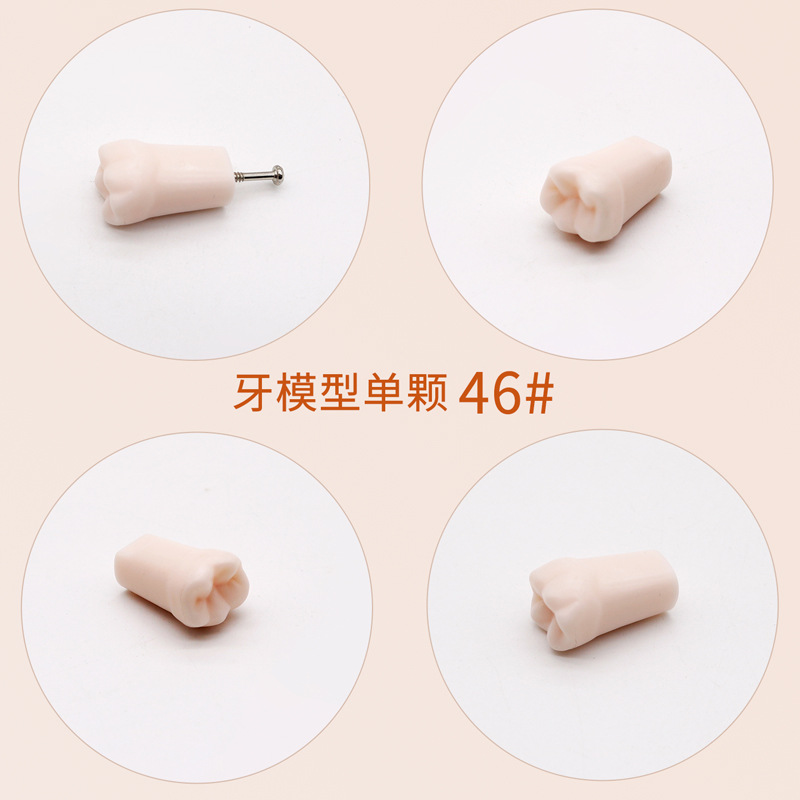 Práctica dental resina de partículas dentales dispersa simulación de partículas dentales de resina dientes aislados dientes enteros 28 / 32 partículas dentales