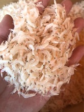 r rƤ rƤ ˮ ă|IB|rr