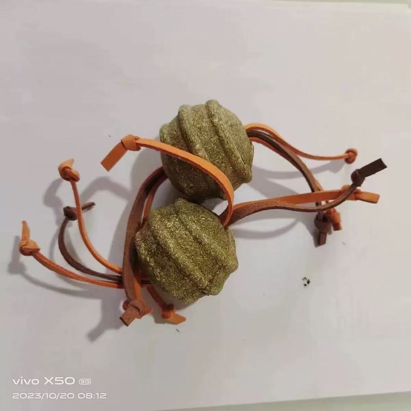 ペットおもちゃメーカー、ペット用自作食用猫用スティック、クリエイティブな歯のクリーニング、噛みつき防止および臼歯スティック|undefined