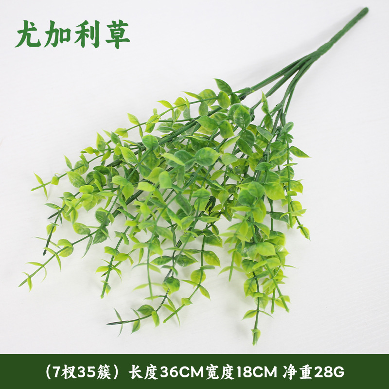 Hierba pura de eucalipto