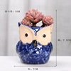 Cross -border new Japanese and Korean small animals colored thumb pot kiln transformed owl sets of succulent pot craftsmanship wholesale